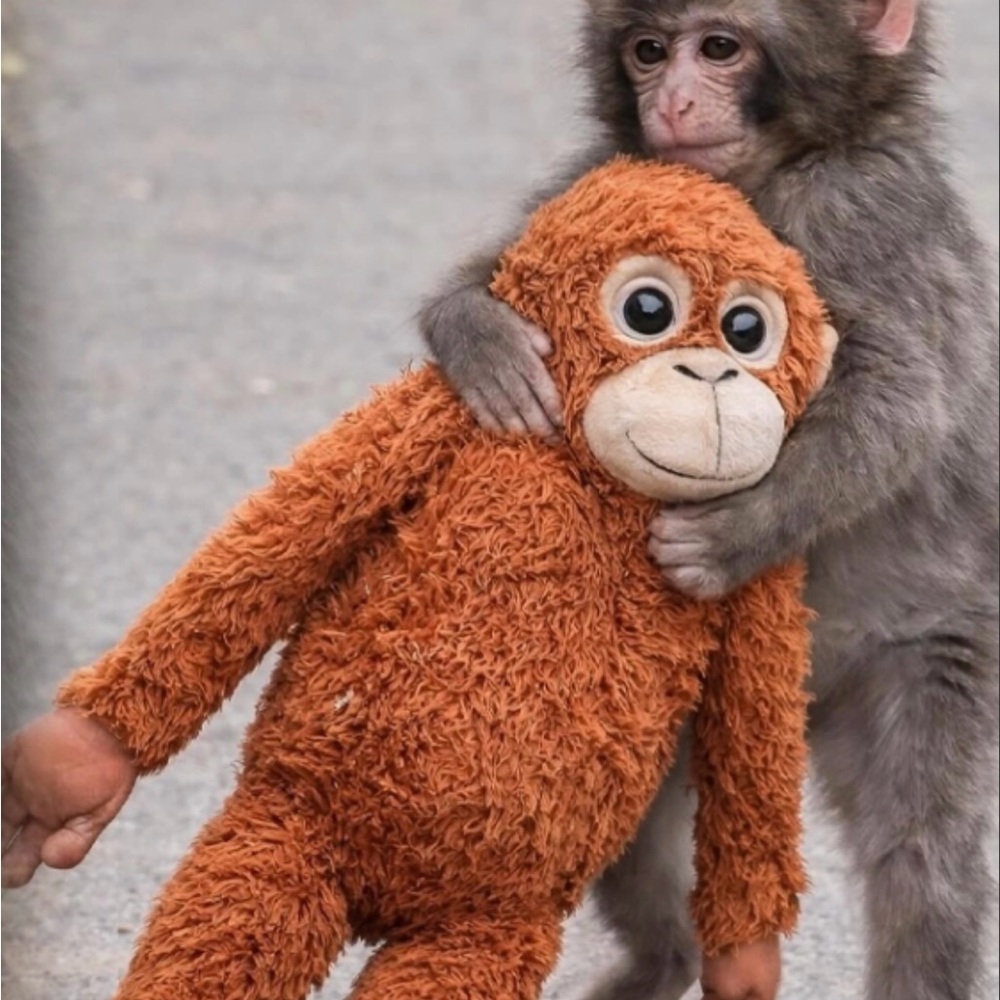 IKEA Orange Stuffed Monkey Toy